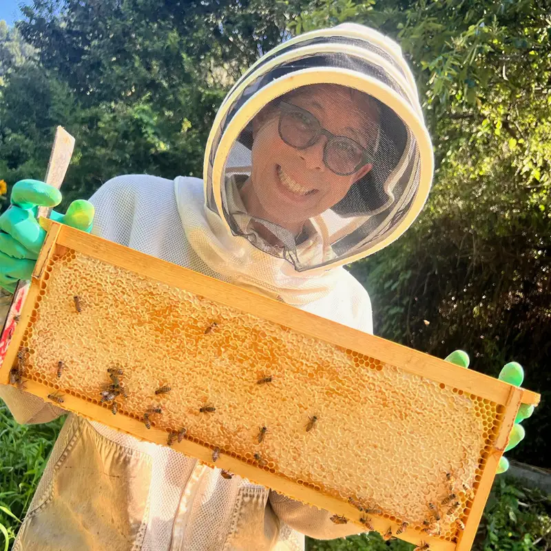 夏のはちみつ２瓶セット BeeCampはちみつ | 国産 非加熱 純粋 生はちみつ 百花蜜【BCP003】