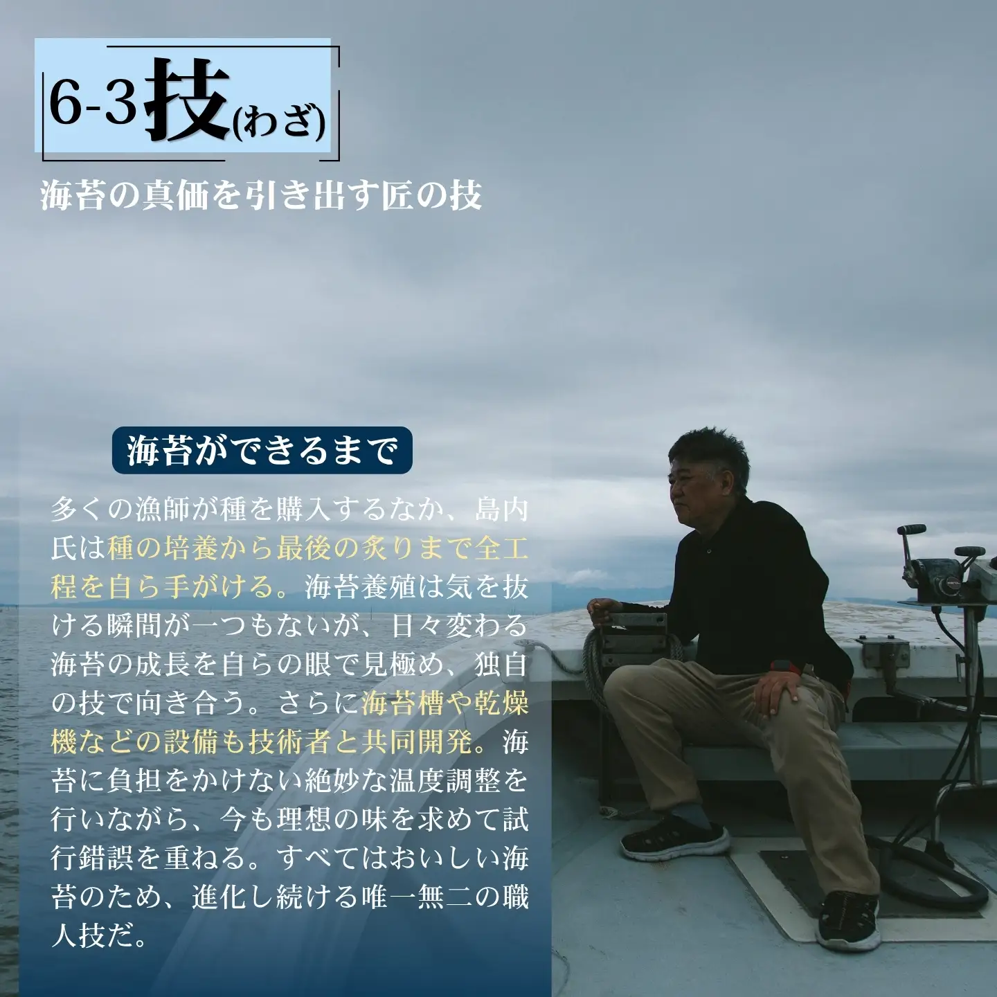 佐賀有明海産初摘み極上焼海苔：B250-035