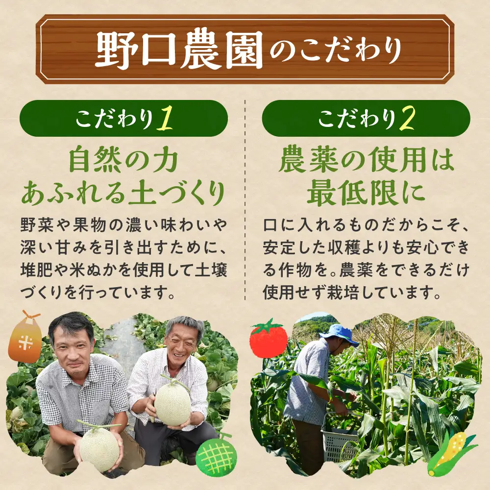 野口農園ななつぼし10kg【3ヶ月定期便】｜お米 北海道産 産地直送 ブランド米 国産 精米 白米 米 