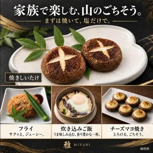【大粒・肉厚】特選生しいたけ「雅」木箱入り9個 約500g 奈良県十津川村産【配送不可地域：離島】【1786490】