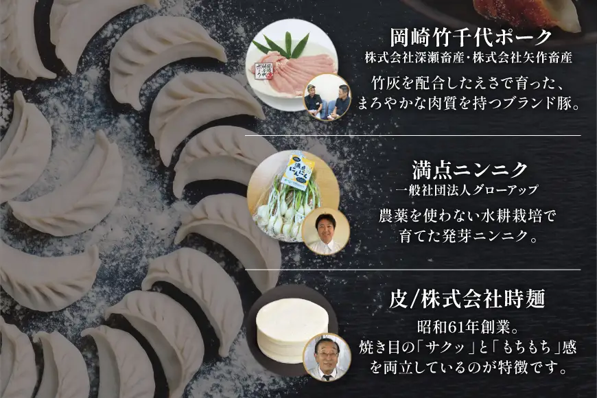 餃子 岡崎餃子 50個 3回 定期便