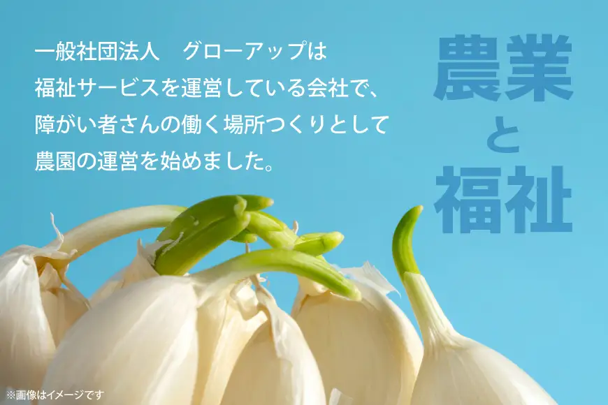 にんにく 満点にんにく 20袋 3回 定期便