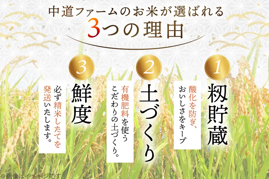 【期間限定発送】 米 令和8年産 あやひめ 5kg