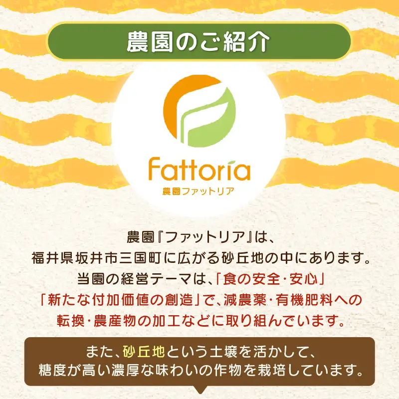 【先行予約】【フルーツ定期便3回】マルセイユメロン2玉＆大玉スイカ1玉＆大粒シャインマスカット2房【2027年6月上旬以降順次発送】【定期便 くだもの】 [D-19101]