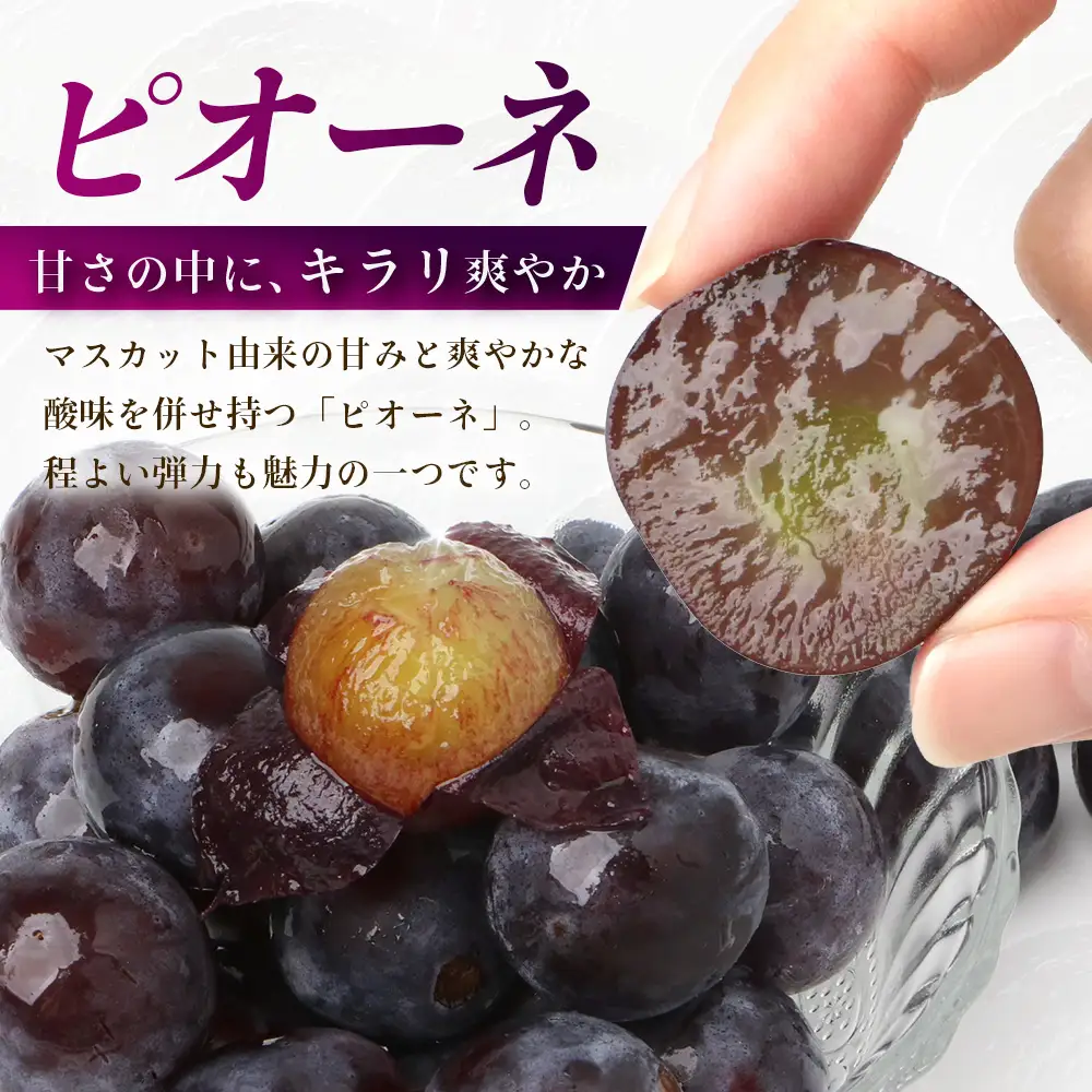 【先行受付 2027年発送】シャインマスカット&ピオーネ2房セット（合計1kg） OV-3