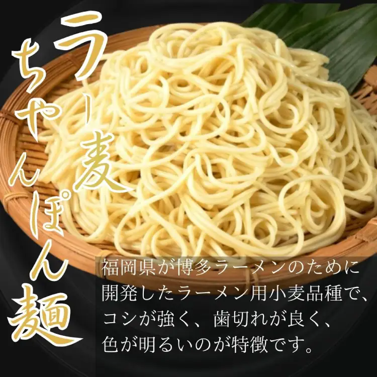 もつ鍋 牛もつ スープ ちゃんぽん麺 セット 6人前