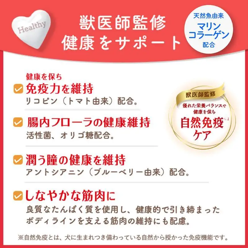 ビューティープロ ドッグ 子犬用 12ヵ月頃まで 720g ケース販売 ペットフード 犬 愛犬 ペット ペット用品 犬用 愛犬用 子犬用 ごはん 静岡 袋井市