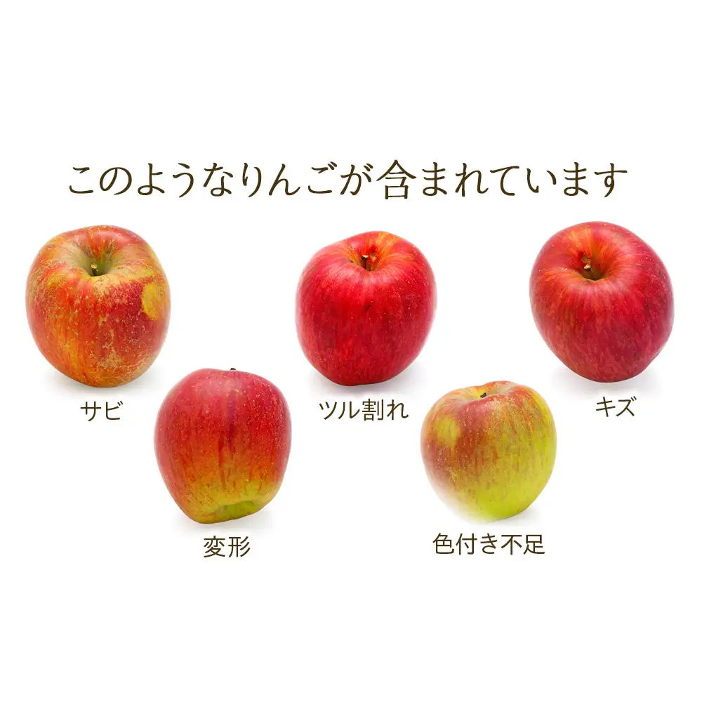 【2026年/令和8年度発送分 】訳あり 信州のりんご 秋映 約 3kg りんご リンゴ 林檎 長野 フルーツ 果物 信州産 長野県産 特産 産地直送 おすすめ