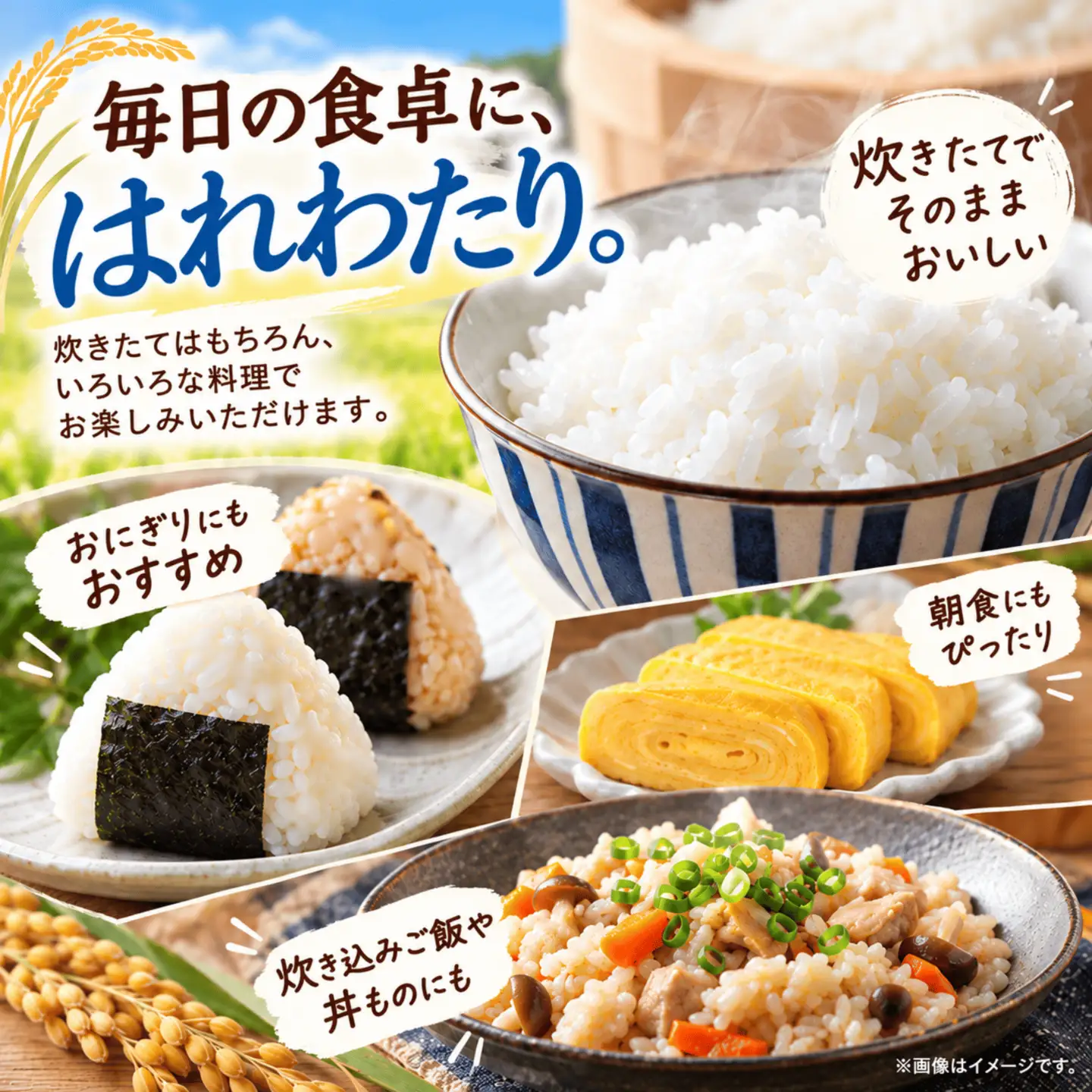 青森県　六ヶ所村産　はれわたり　精米10kg