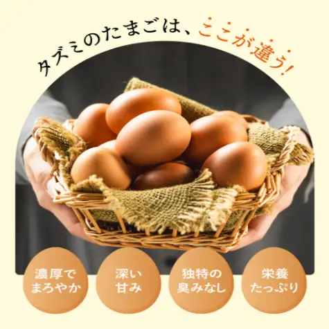 【TVで紹介されました】タズミの卵Ｍサイズ（30個）008AB01N.／こだわり卵 市川町産 兵庫県産 たまご たまごかけご飯 玉子 生卵 鶏卵 タマゴ 卵焼き TKG【累計600万個突破！】