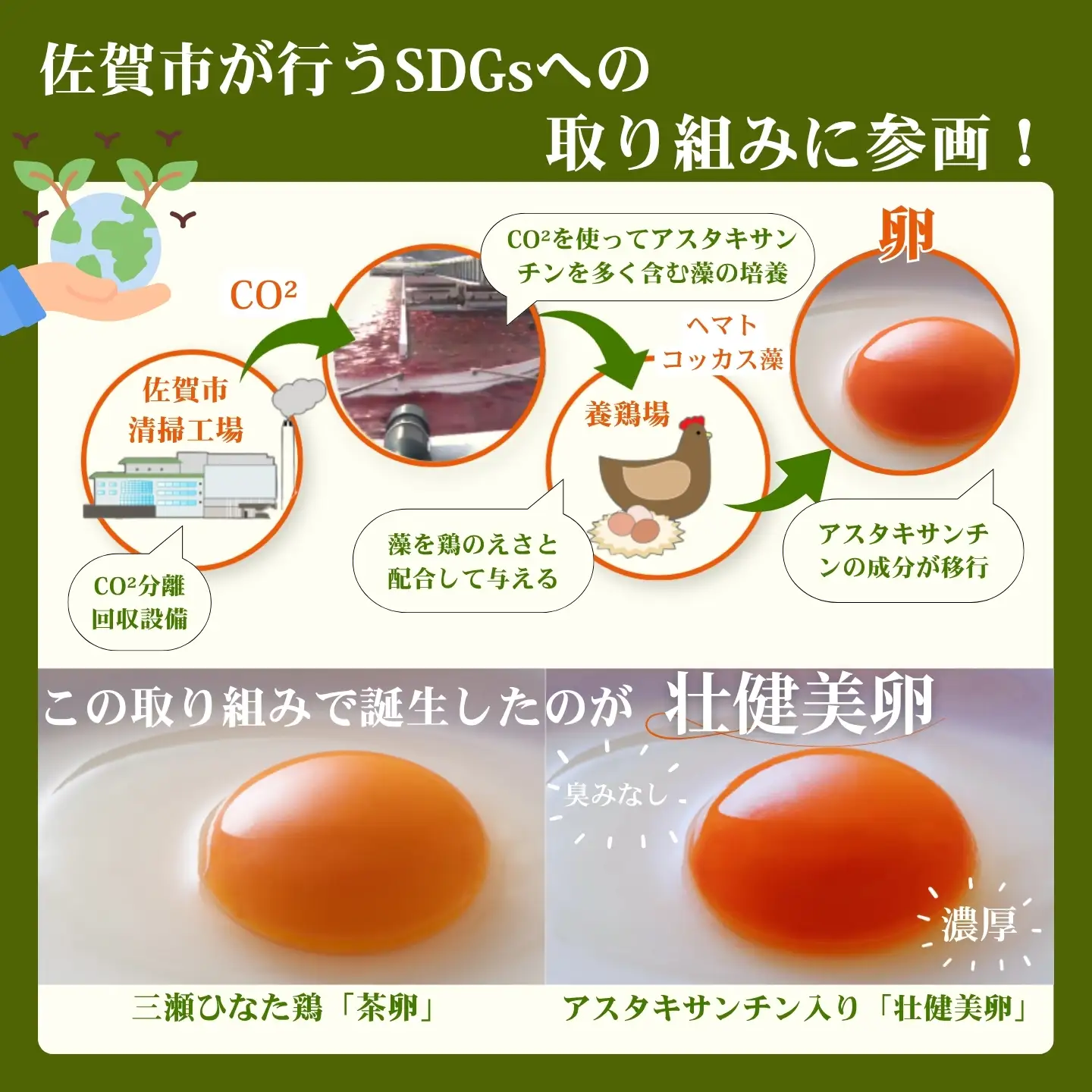 平飼いたまご 三瀬ひなた鶏舎 「壮健美卵」6個入り×6パック【うち割れ保証5個】：B125-032