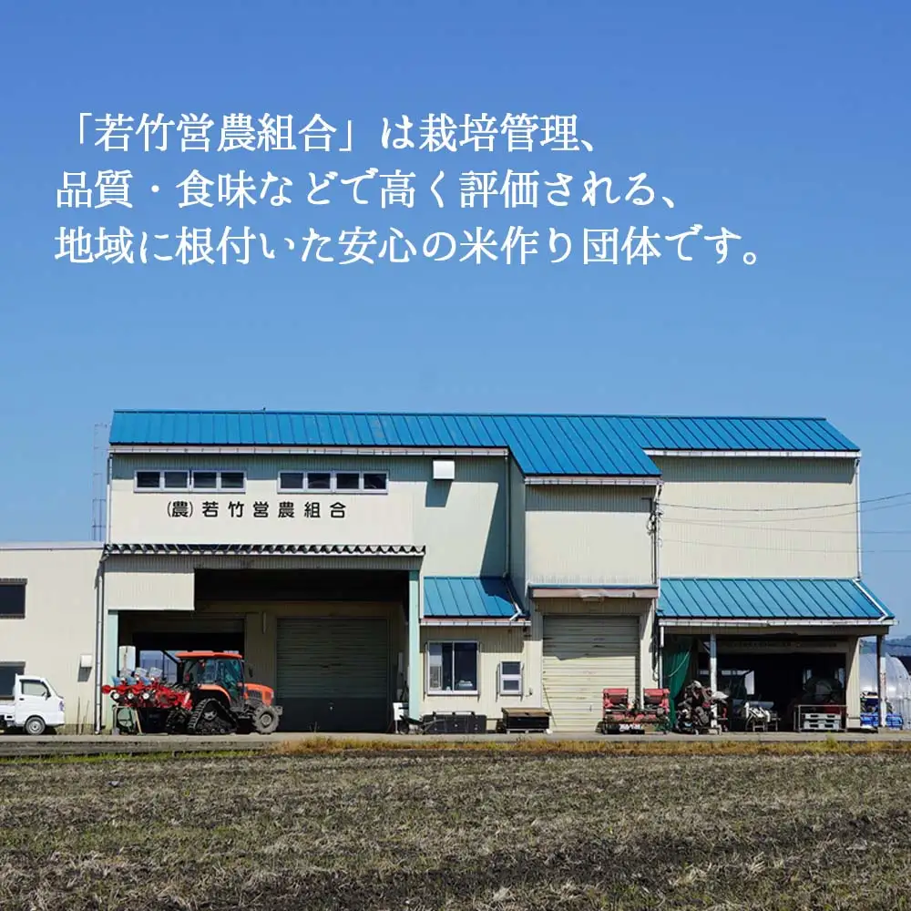 【射水市】【射水の美味しいお米】若竹のお米 R8年産 ミルキークイーン 20kg 【精米】