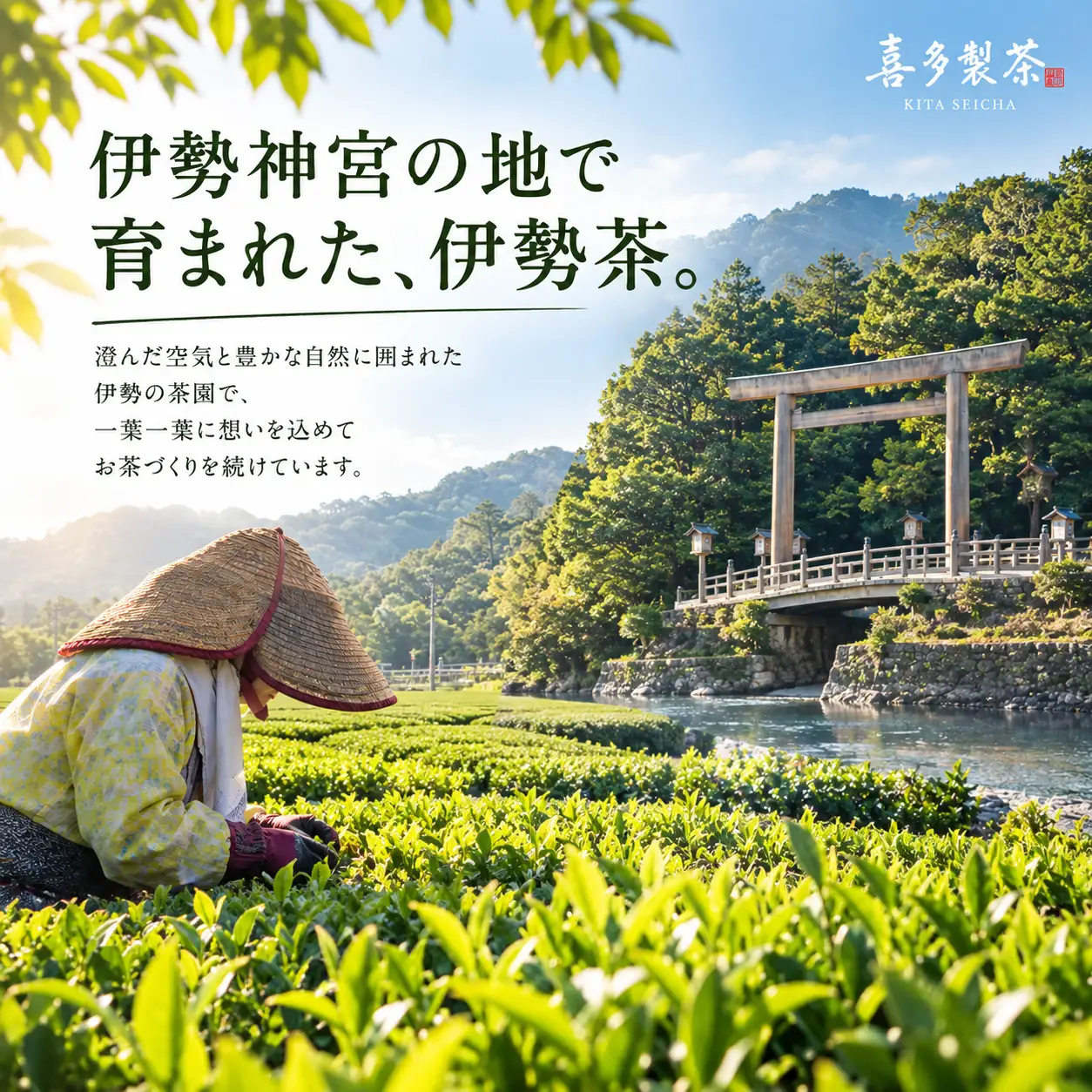 喜多製茶　伊勢茶ふりかけ　80ｇ　2袋入り ／ 喜多製茶 お茶 ごはん お弁当 おにぎり 国産 三重県 度会町 伊勢志摩