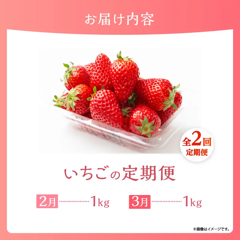 先行予約【全2回お届け】 いちご 定期便 合計2kg［I21］果物 フルーツ くだもの 2027年 青果 苺 イチゴ いちご大福 国産 おやつ スイーツ デザート おすすめ ジャム ジュース 甘い ジューシー ギフト おすそ分け 宮崎県 綾町 送料無料_A0113-014