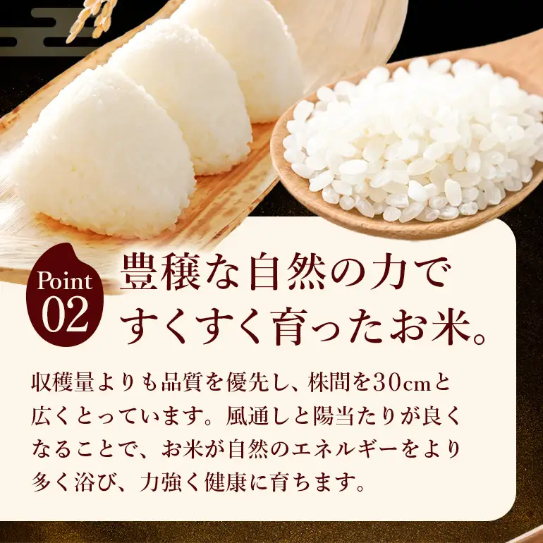 令和8年 新米 白米 ひのひかり 10kg 6ヶ月定期便 ぶんぶんファーム