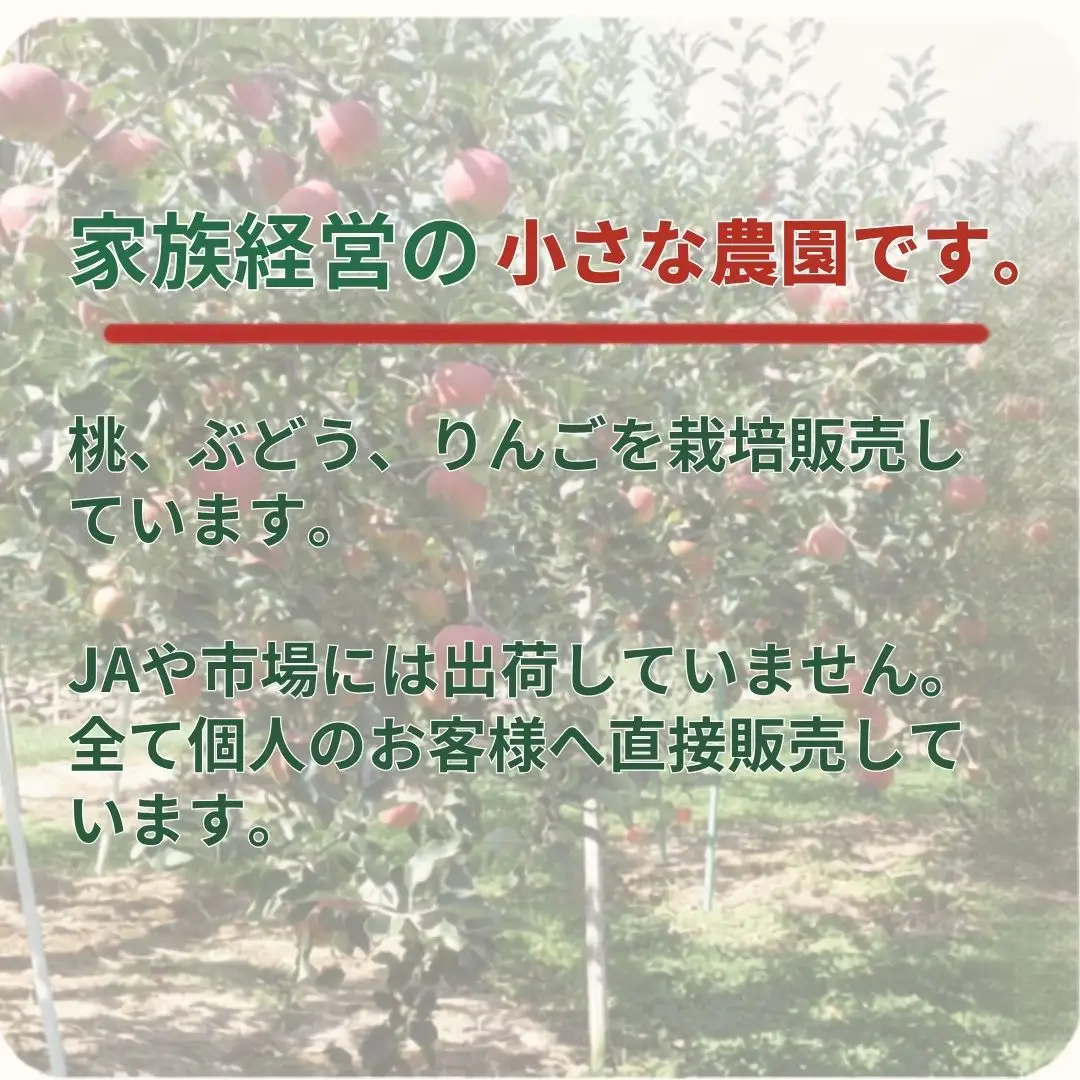 しなのスイート 家庭用 約3kg| りんご りんご