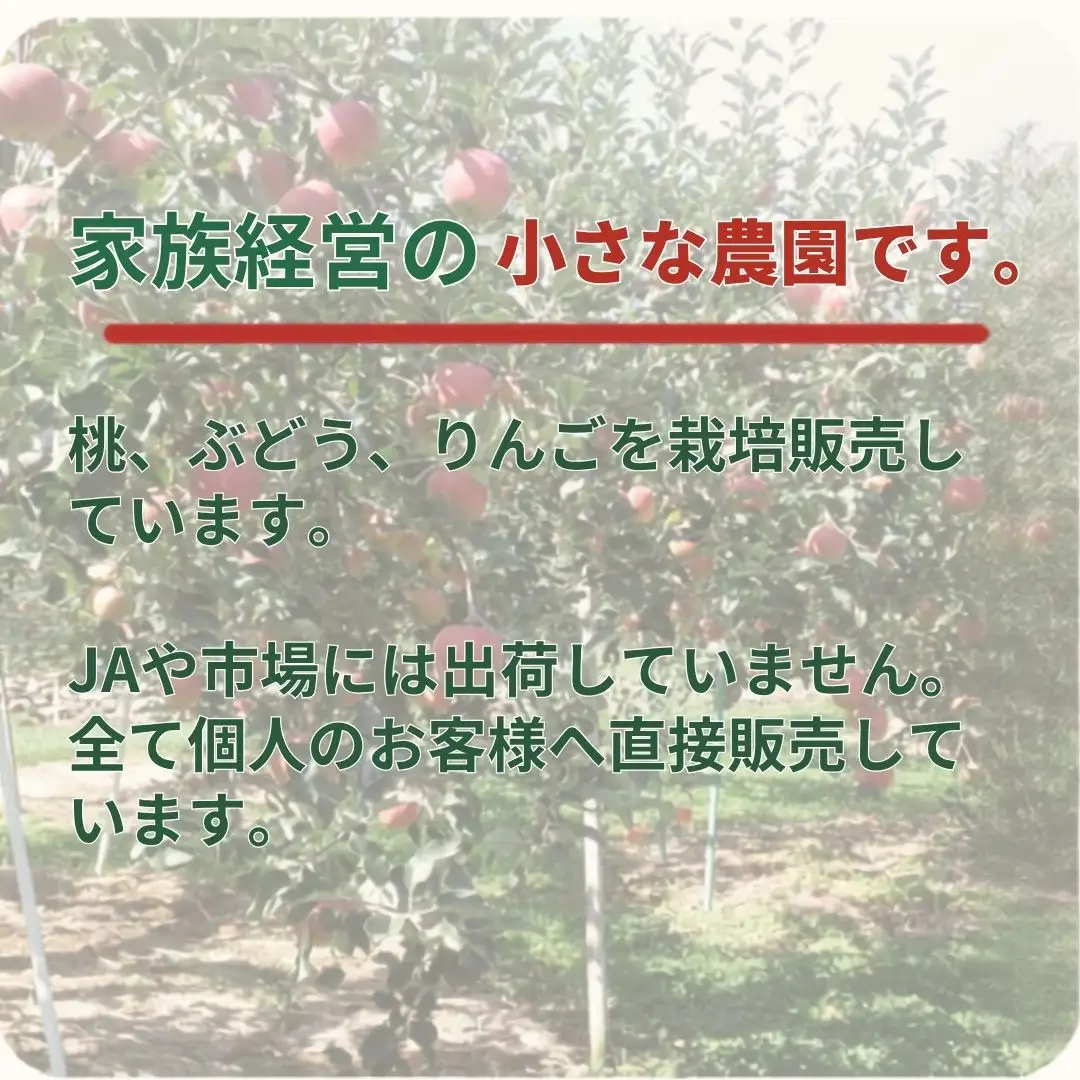 訳あり ふじ 家庭用 キズ有り 約5kg| りんご りんご