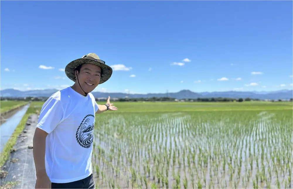 【 6回定期便 】 熊本市産 ヒノヒカリ 白米 10kg ( 約67合 ） ｜ ハタチノキオク 6回 お米 米 白飯 ご飯 おにぎり 和食 国産 熊本県産 ブランド米 定期 定期配送