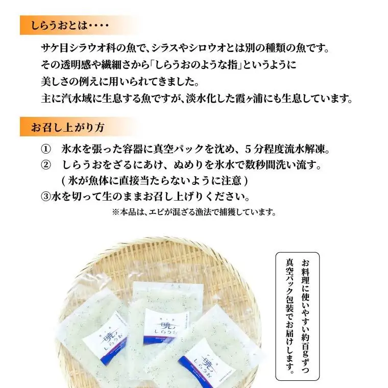 霞ヶ浦　暁のしらうお　約100g×3パック|茨城県 行方市 ふるさと納税 白魚 しらうお 海鮮（GT-5）