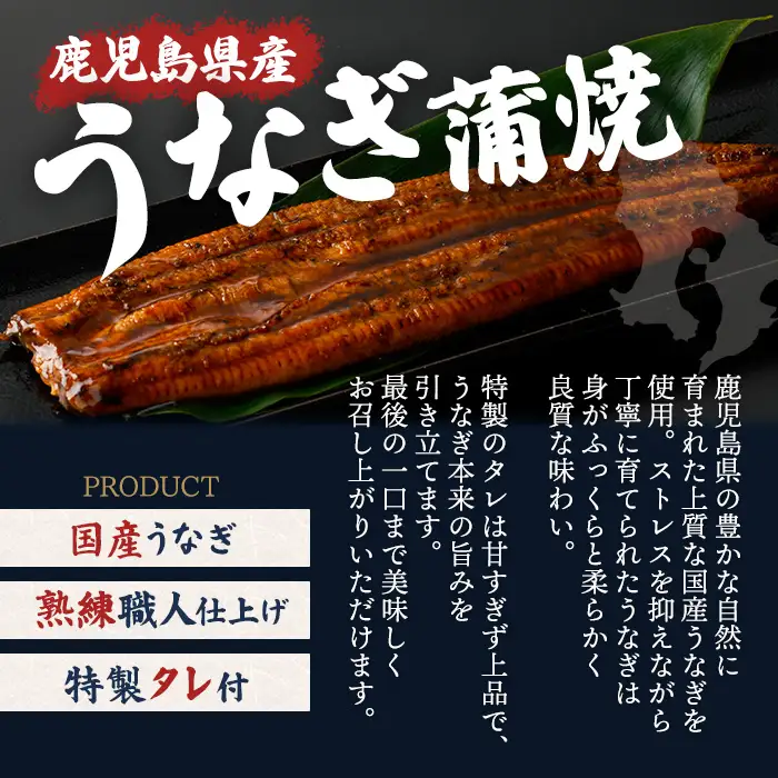 ＜隔月定期便・全3回＞鹿児島県産うなぎ蒲焼 (約186g×3尾×3回) 鰻 ウナギ うなぎ【薩摩川内鰻】 T91