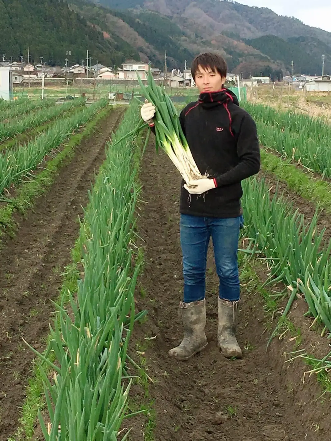 【先行予約】土付き岩津ねぎ 3kg 箱入り  【田中農園】AS2BC23