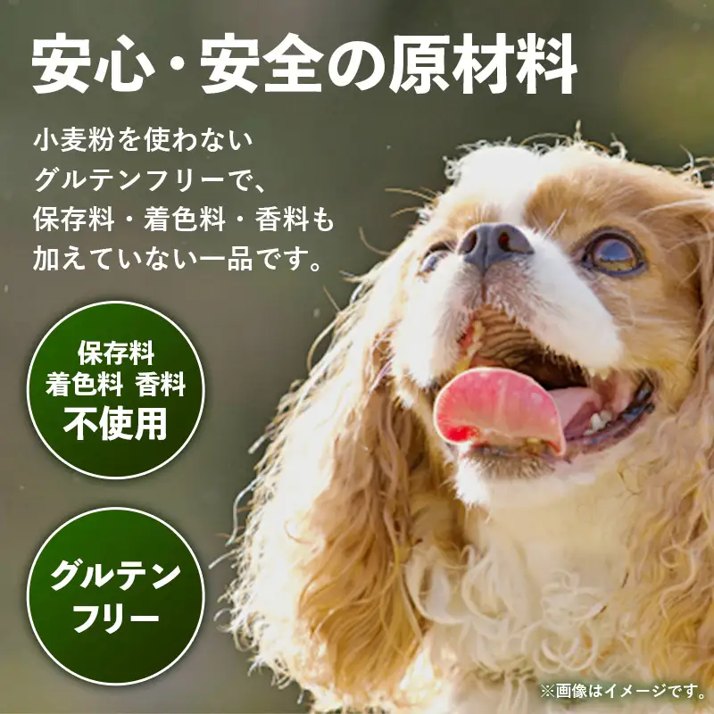 DOG＆DAY Sweet 犬用ケーキ【ペットフード ペット 動物 犬 餌 エサ 小型犬 愛犬 愛犬家 愛犬用 おやつ デザート 手作り ケーキ 健康 おやつ 犬用 ペット用 ご褒美 福岡県 筑前町 ふるさと納税 冷凍 送料無料 CH031】