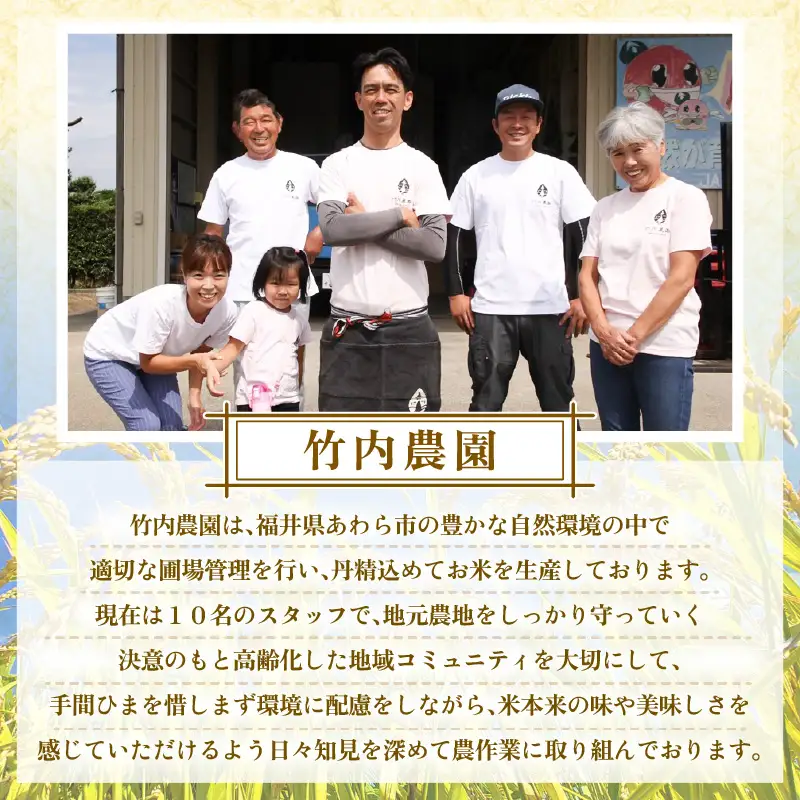 【先行予約】【令和8年産】慣行栽培 ゆうだい21 白米 10kg / 米 福井県 精米 あわら市産 ※2026年10月下旬より順次発送予定 [aw038-b001]