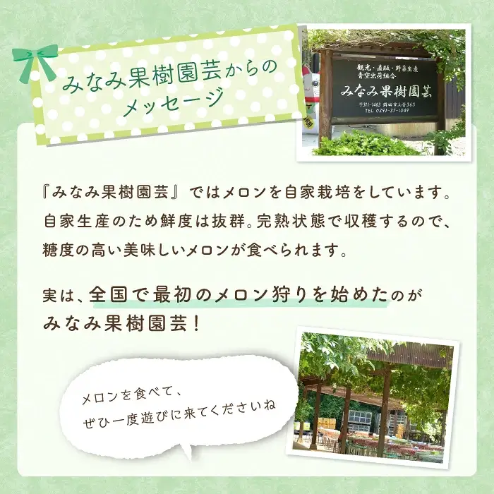 タカミメロン 食べ放題 （30分） ＆ お持ち帰り メロン 2玉 2名様分 メロン狩り 入場券 チケット ペアチケット イベント