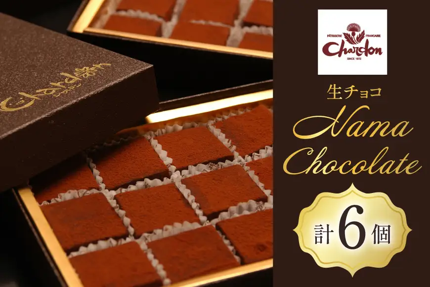 チョコ 生チョコ 6個 セット