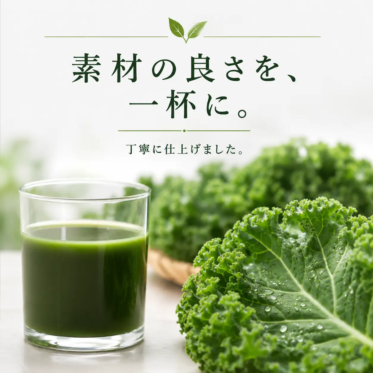 ケール100％青汁 (90ml×7本) | ひまわり乳業 ケール 健康 青