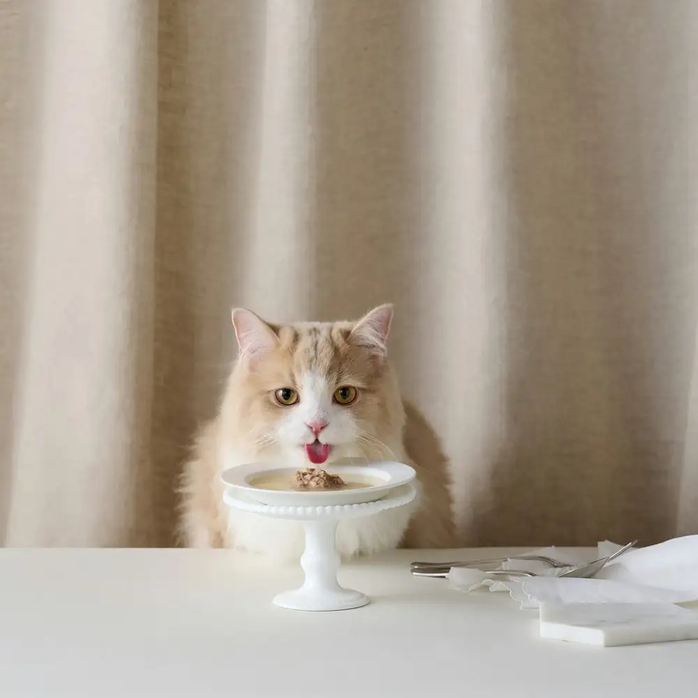 キャットフード 美食メニュー スープ まぐろ  P-40SM×12P