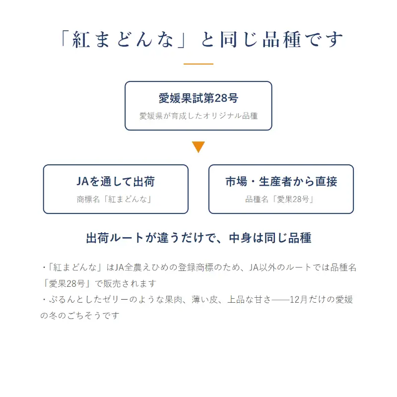 愛果28号 ( 紅まどんな と同品種 ) 家庭用 約2kg 【2026年11月下旬より順次発送】【VRS003】