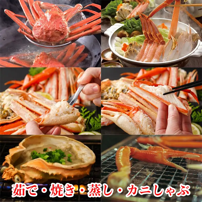 〈期間限定〉生 本ズワイガニ 500g以上×1杯 姿 生きたまま発送 生蟹 糸魚川産 鮮度抜群！獲れたて直送 ずわいがに かに 蟹 ヒスイ水産 国産 日本海 新潟 新鮮 タグ付き 11月から漁開始 ギフトにも おススメ カニ ヒスイ蟹