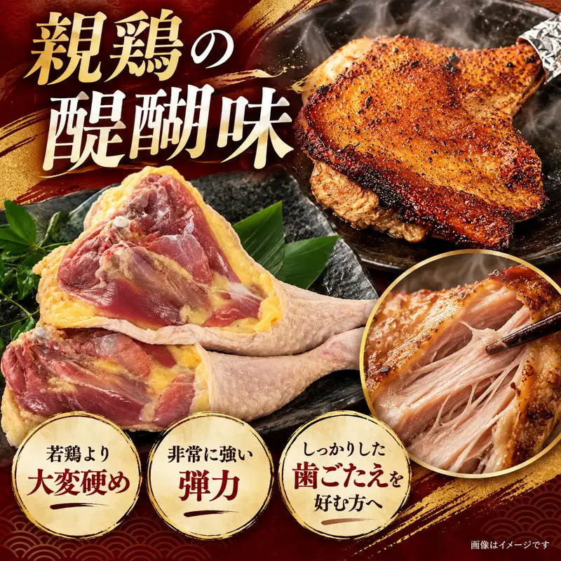【本場香川県】親鶏 骨付鳥 6本セット 肉 お肉 鶏肉 親鳥 親鶏 香川 香川県