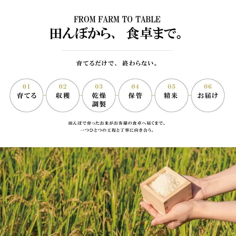 令和8年 新米 新潟県上越市産 穂希 みずほの輝き お試し2合300g 精米 株式会社MSD