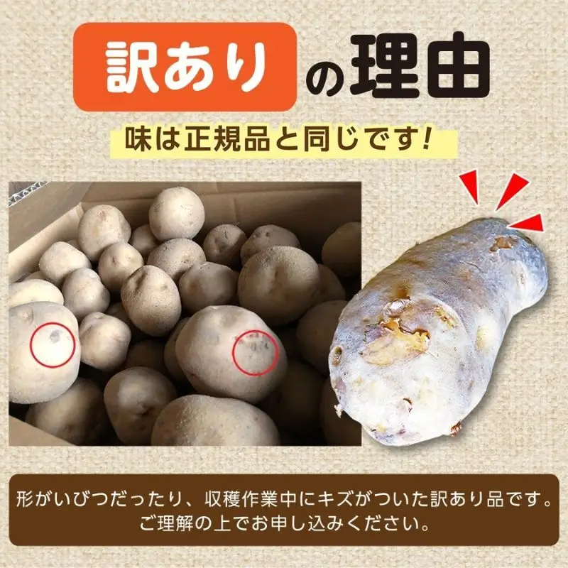 北海道産 訳あり じゃがいも メークイン 約9.3kg 不揃い サイズ不選別 ジャガイモ 馬鈴薯 ポテト 芋 いも イモ 旬 冬 農作物 訳アリ 規格外 家庭用 北海道 お取り寄せ 産地直送 笠井ファーム 送料無料 幌加内