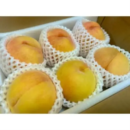 【先行受付 2027年発送】山梨市産　黄金桃　約2kg(5～8玉)【配送不可地域：離島】【1788424】
