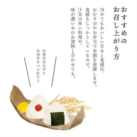 【農家直送!】福島のブランド米「福、笑い」 10kg【令和8年12月末より順次発送分】【1789607】