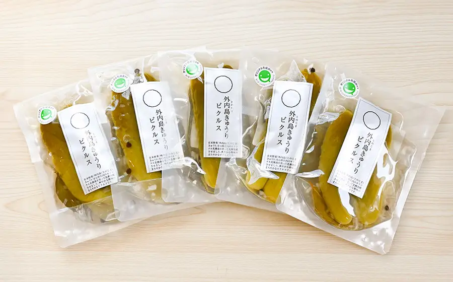 外内島きゅうりピクルス5袋セット【漬物グランプリ2026地域特産品特別賞受賞】100g×5袋 K-834 株式会社 本長