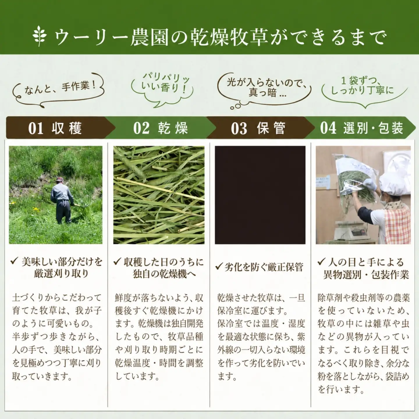 【うさぎ用 国産牧草】WOOLY ウーリー農園 イタリアンライグラス＆ティモシー ブレンド 400g×1袋 八ヶ岳産 ふるさと納税限定 数量限定 ペットフード うさぎ 牧草 ウサギ 餌 長野県富士見町