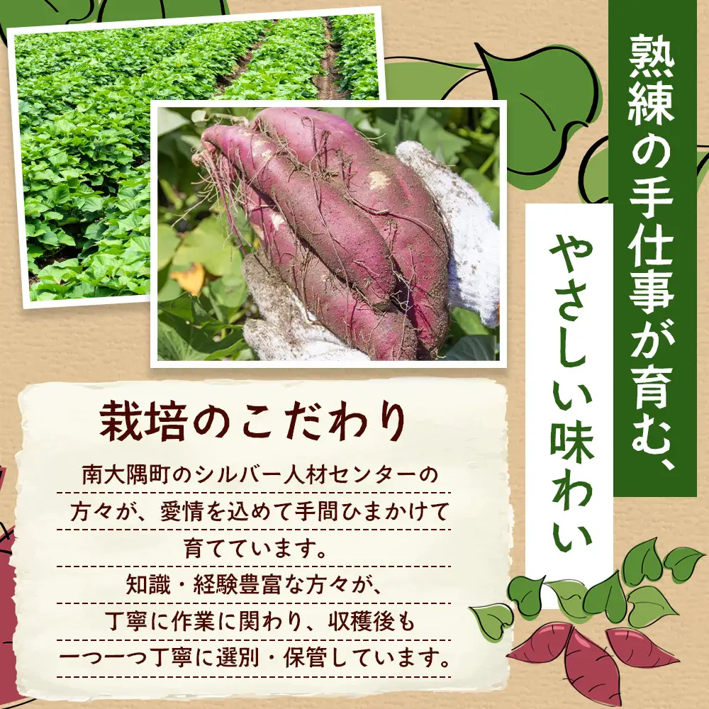 【先行予約2026年12月～発送！】【熟成】冷凍やきいも！紅はるか ( 1kg×2袋) MO-1 ｜食品 人気 おすすめ 冷凍焼き芋 芋 いも やきいも 冷凍 国産 紅はるか 野菜 やさい 2kg おやつ 鹿児島県 南大隅町 モエノバ