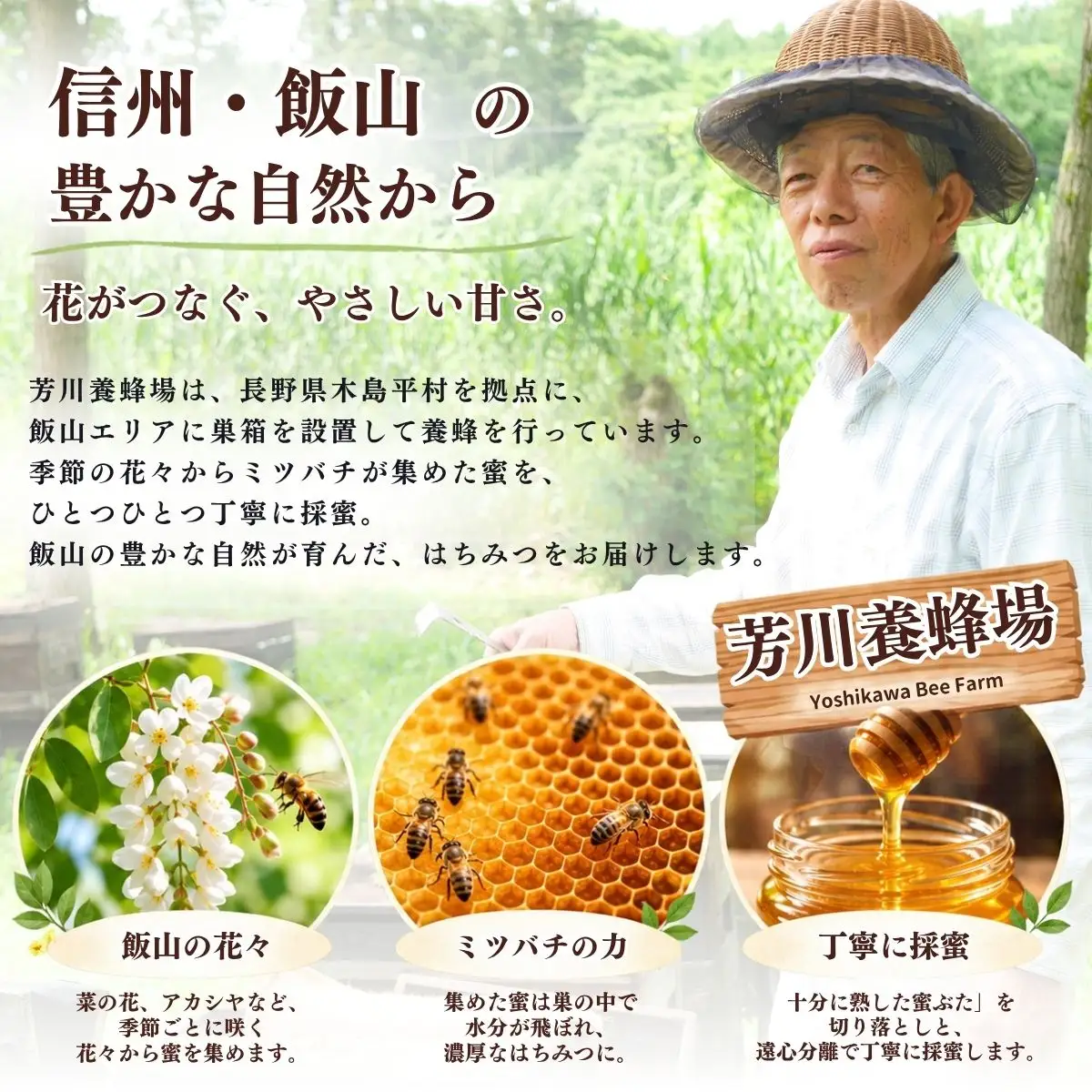 国産 天然 はちみつ 菜の花蜜 500g 1瓶 芳川養蜂場