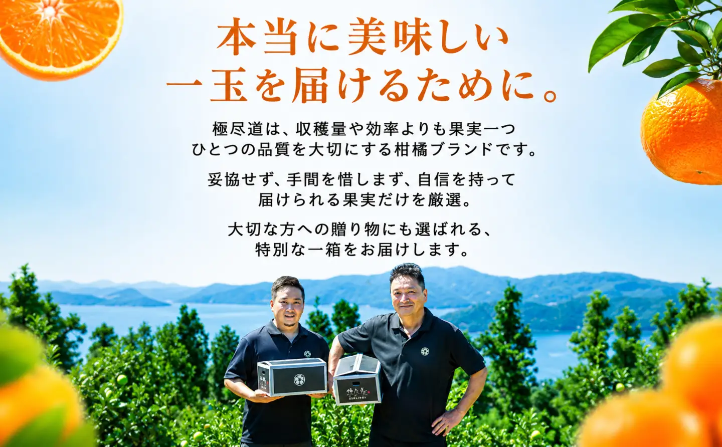 ＜上品な甘さ 愛媛県産はるか 合計約7.5kg＞『2027年2月上旬～3月中旬迄に順次出荷予定』訳あり まろやかな甘み ミカン 蜜柑 希少 ご家庭用 果汁 果物 くだもの フルーツ オレンジ 柑橘 人気柑橘 特産品 極尽道 愛媛県 西予市 【常温】OKS0011