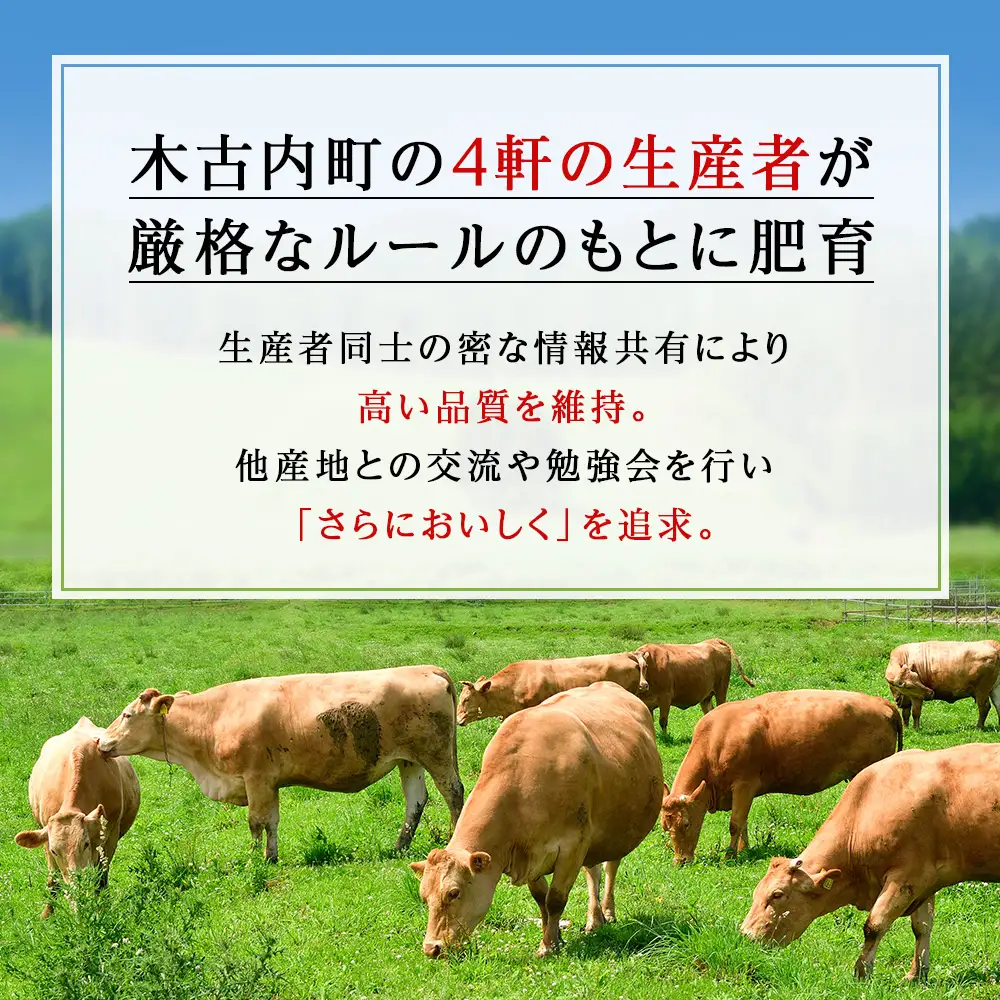 はこだて和牛サーロイン すき焼き・しゃぶしゃぶ用 300g×3セット≪冷凍≫