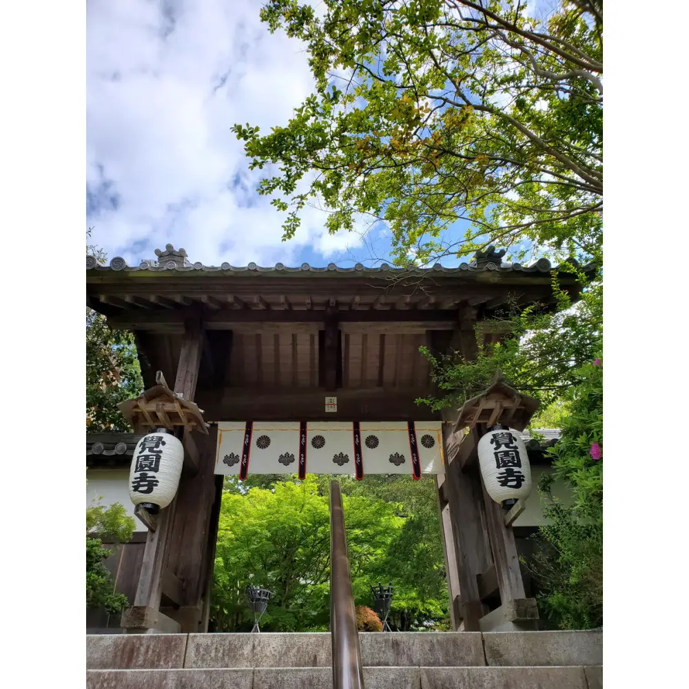 【鎌倉・覚園寺】10月25日（日）開催 チェロと日本画が響きあう特別公演 鑑賞チケット（カクテルパーティー付／1名様）