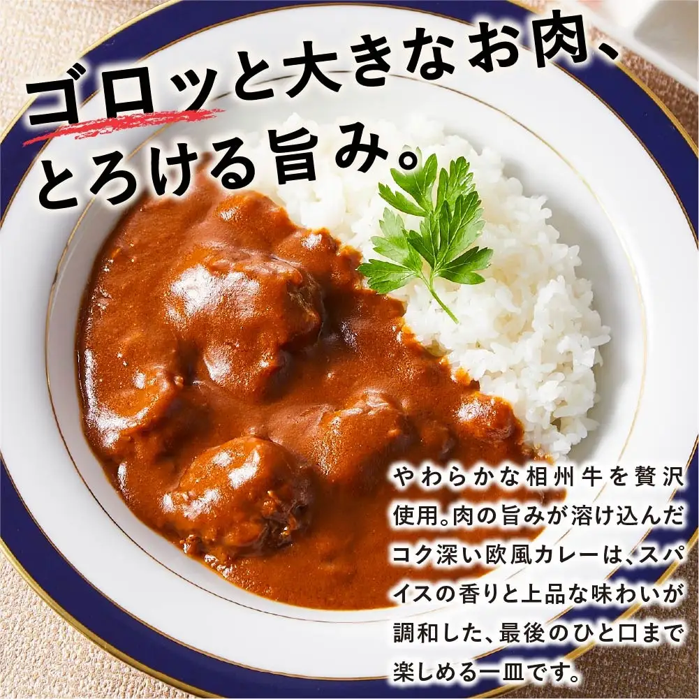 【湘南カレーコンテストグランプリ受賞】相州牛ゴロゴロカレー