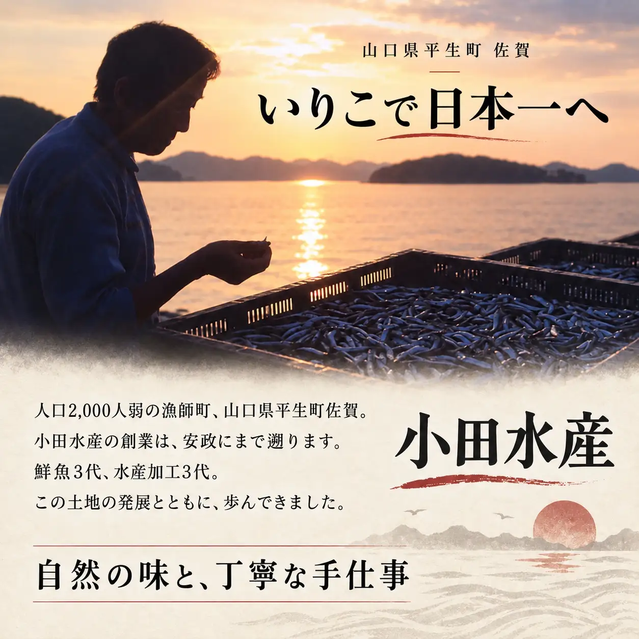 瀬戸内の幸 詰め合わせ（ハモ明太・サヨリ開き・田作り）