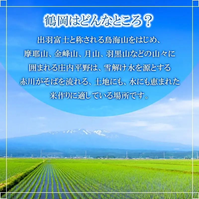 【令和8年産 新米】 特別栽培米 雪若丸 無洗米 7kg (5kg+2kg) 山形県鶴岡産　鶴岡協同ファーム