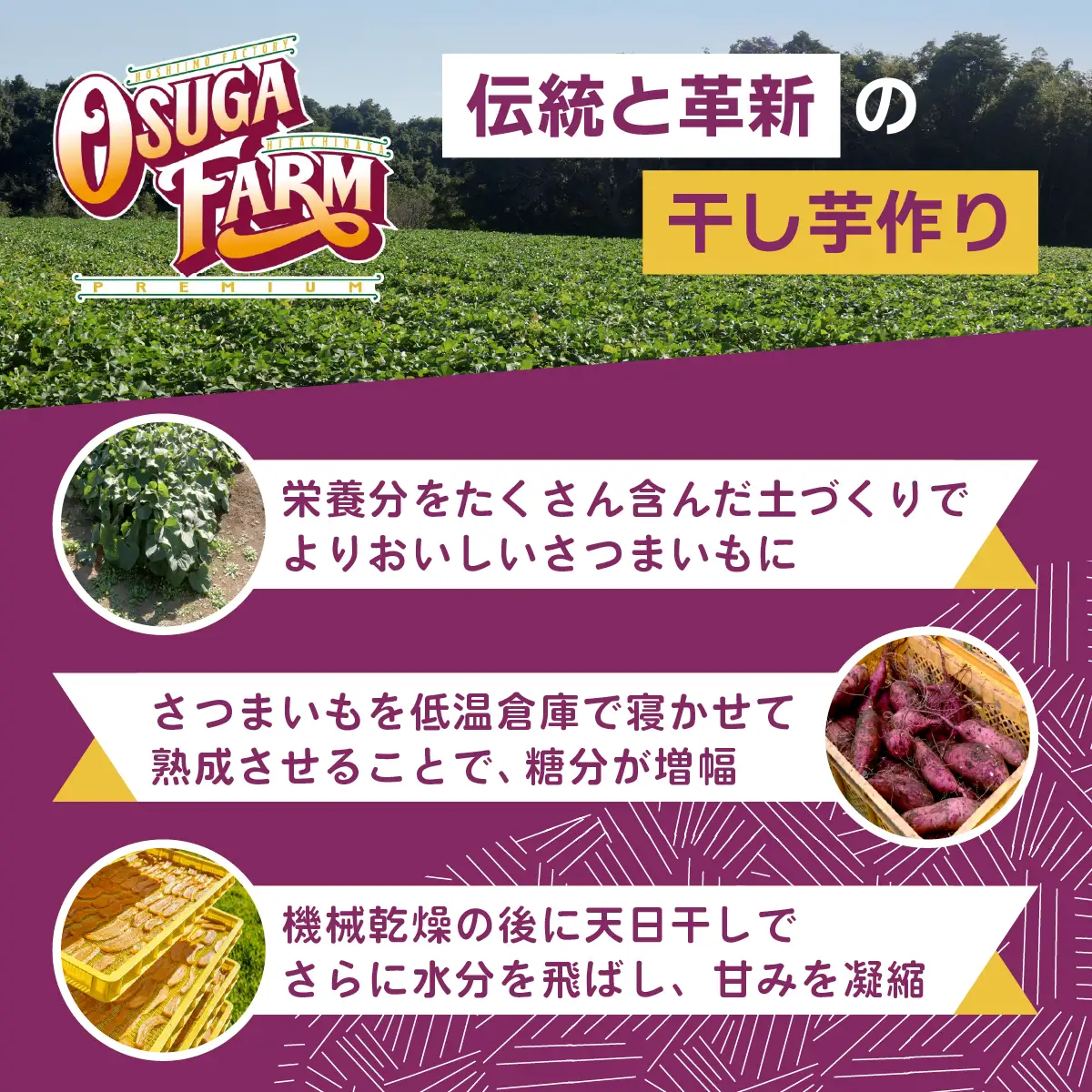 干し芋 紅はるか 平干し2kg(200g×10袋) | 干しいも ほしいも 日本一 オオスガファーム