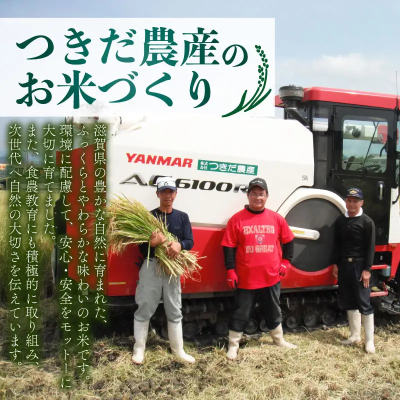 令和8年産 新米 ミルキークイーン 10kg 精米 白米 滋賀 彦根